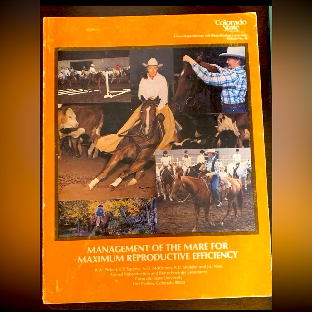 Management of the Mare Book